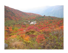 那須連山の紅葉